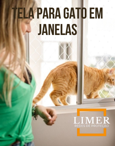 Tela Para Gato em Janelas.